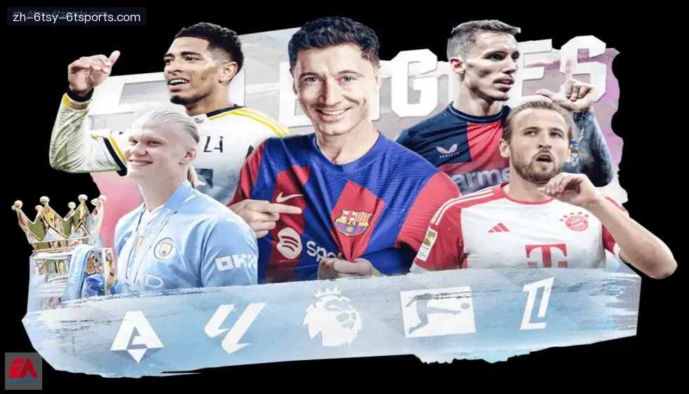 6T体育 banner