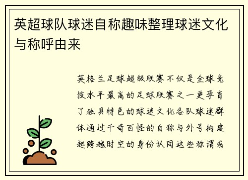 英超球队球迷自称趣味整理球迷文化与称呼由来